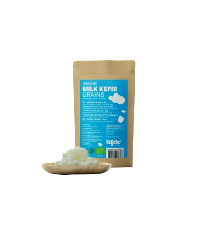 Mléčná kefírová zrna - kefírová kultura - 1 g