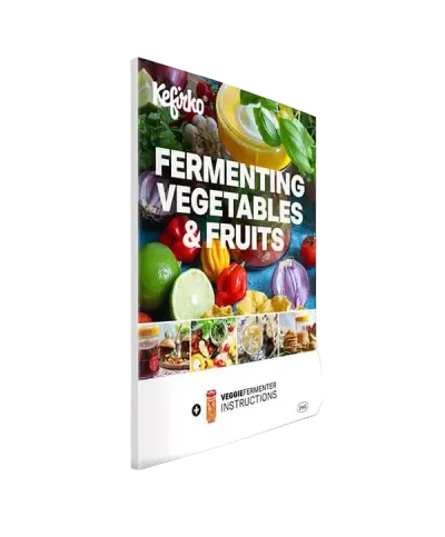 Fermentation vegetable and fruit - recipe English