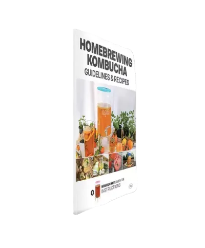 Home brewing kombucha - instructions and recipe English