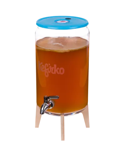 Kombucha fermenter with stand and tap