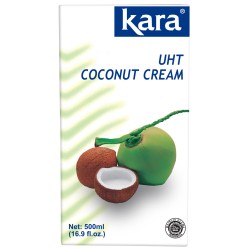 Coconut cream UHT - 24% fat